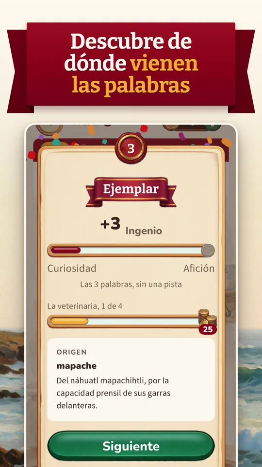 The end of a level, with the origin of «mapache», one of the words found.